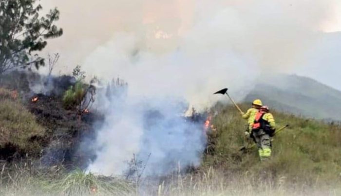 Con batefuegos y azadones controlaron las llamas.