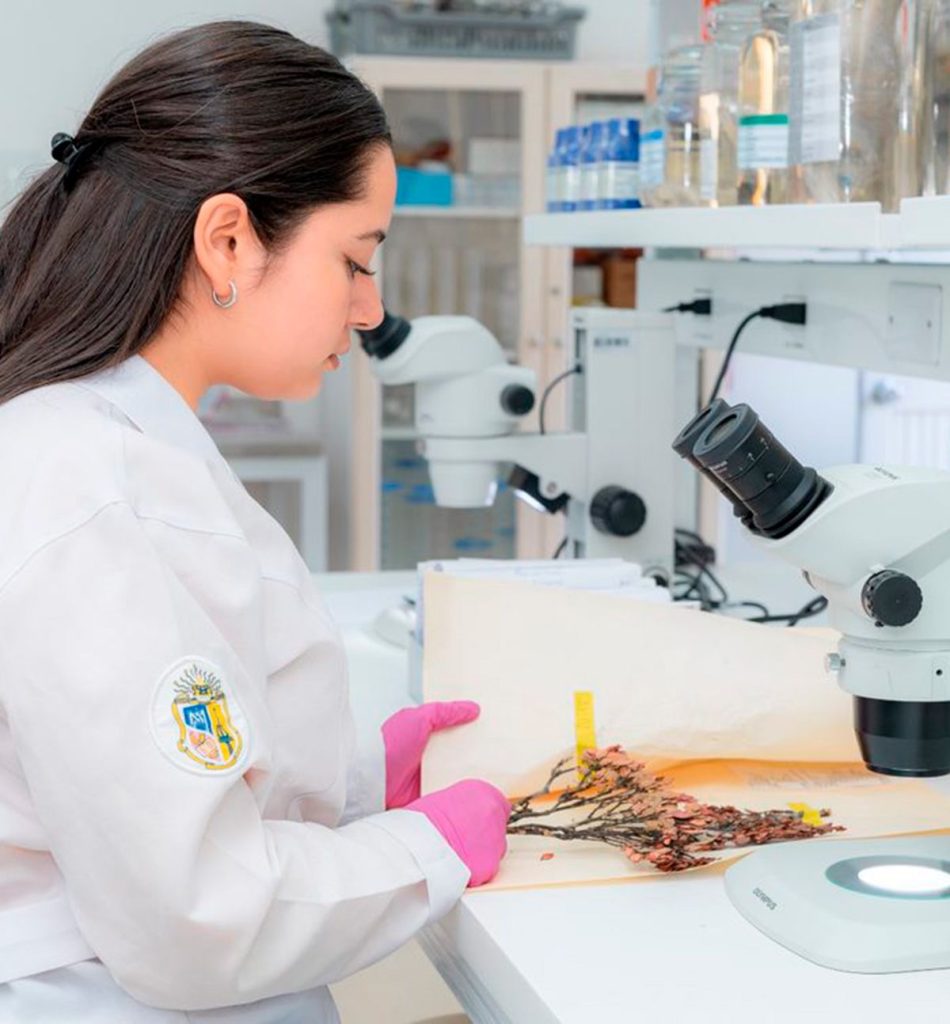La Universidad Técnica Particular de Loja se destaca por su investigación.