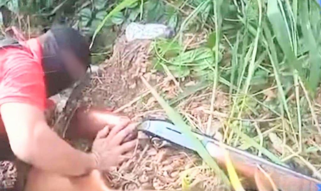 Algunas armas de fuego estaban enterradas en el patio de esa casa.