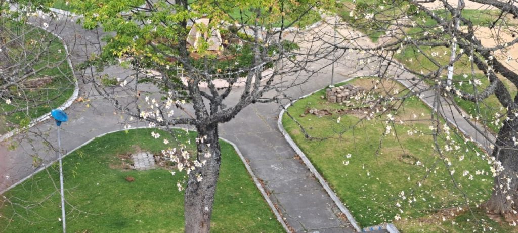 El sector es muy tradicional en la ciudad de Loja y, por tanto, preferido por los niños.