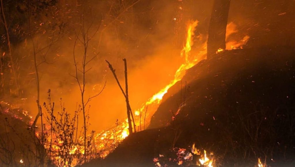Un incendio forestal se presentó también en la parroquia lojana El Cisne.