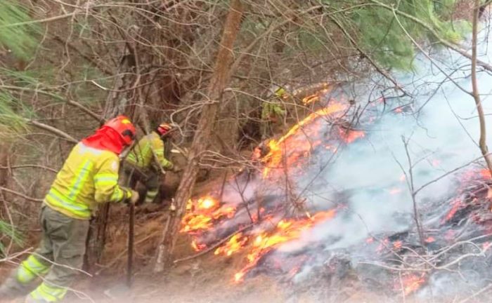 Los ‘casacas rojas’ controlaron el fuego y evitaron su propagación.