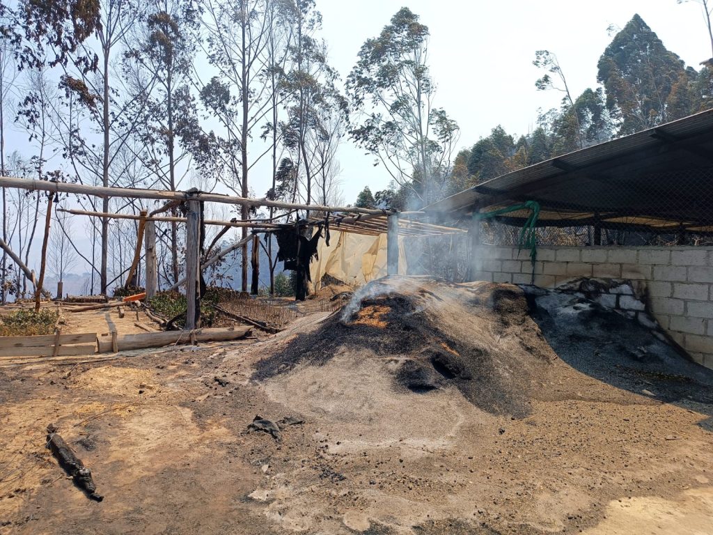 Las péridas, para la mayoría, van más allá del aspecto aconómico.