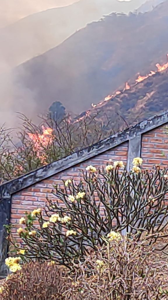 La situación afectó a varios predios de la localidad.