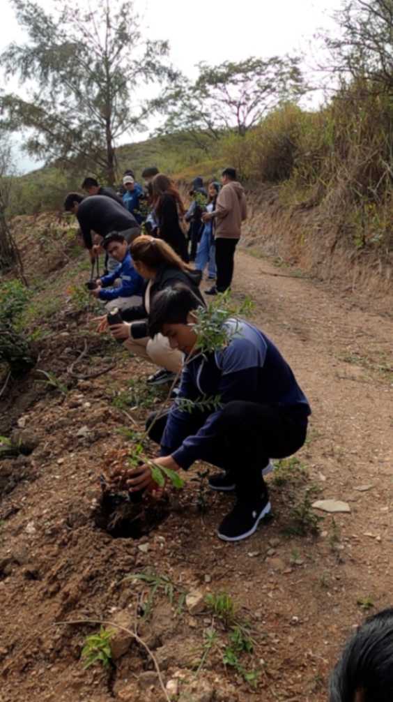 Dos barrios de Malacatos han sido intervenidos a través de la siembra de plantas.