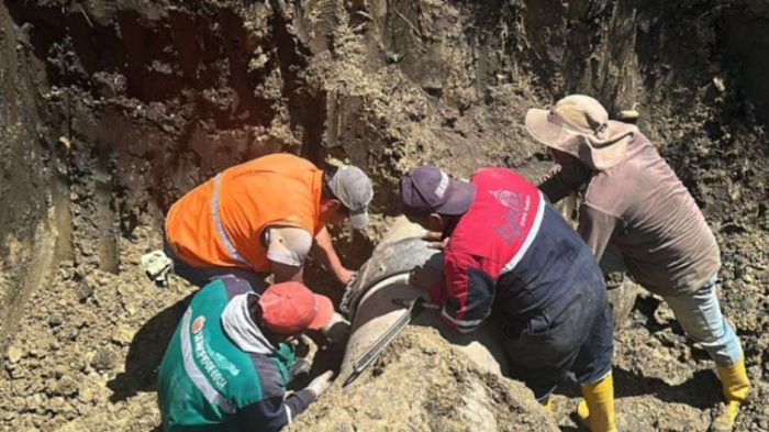 Obreros de la Umapal trabajaron en el sitio de la avería, por el barrio Bolonia.