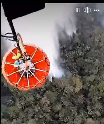 El trabajo que realizan busca mitigar los incendios forestales.
