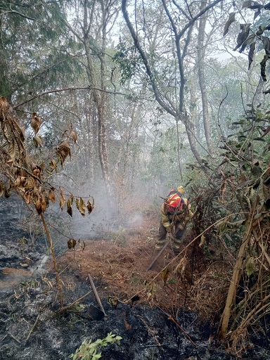 Está controlados los incendios, pero todavía no pueden liquidar las llamas.