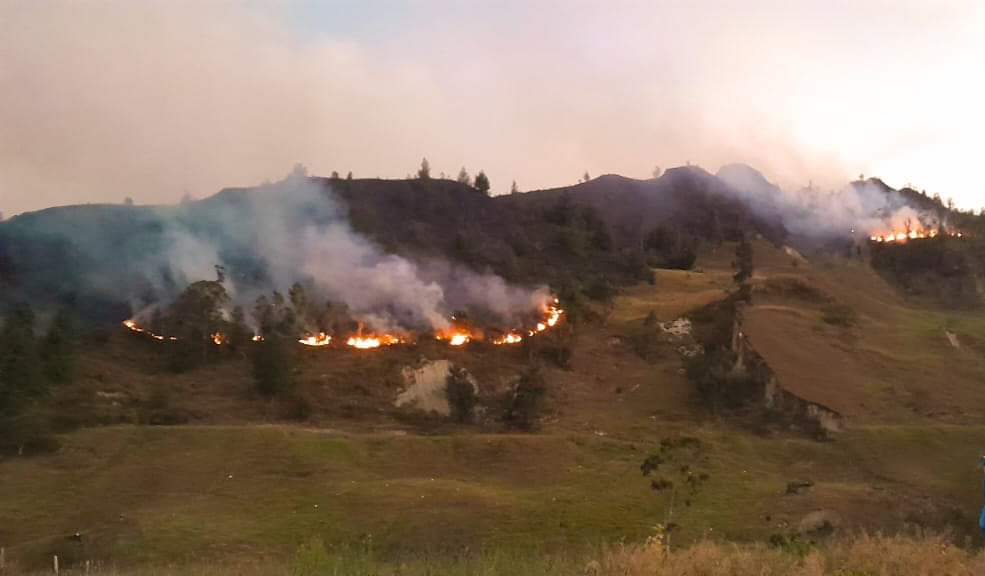 La situación ha generado preocupación, especialmente por la cercanía del incendio a algunas viviendas en la zona.