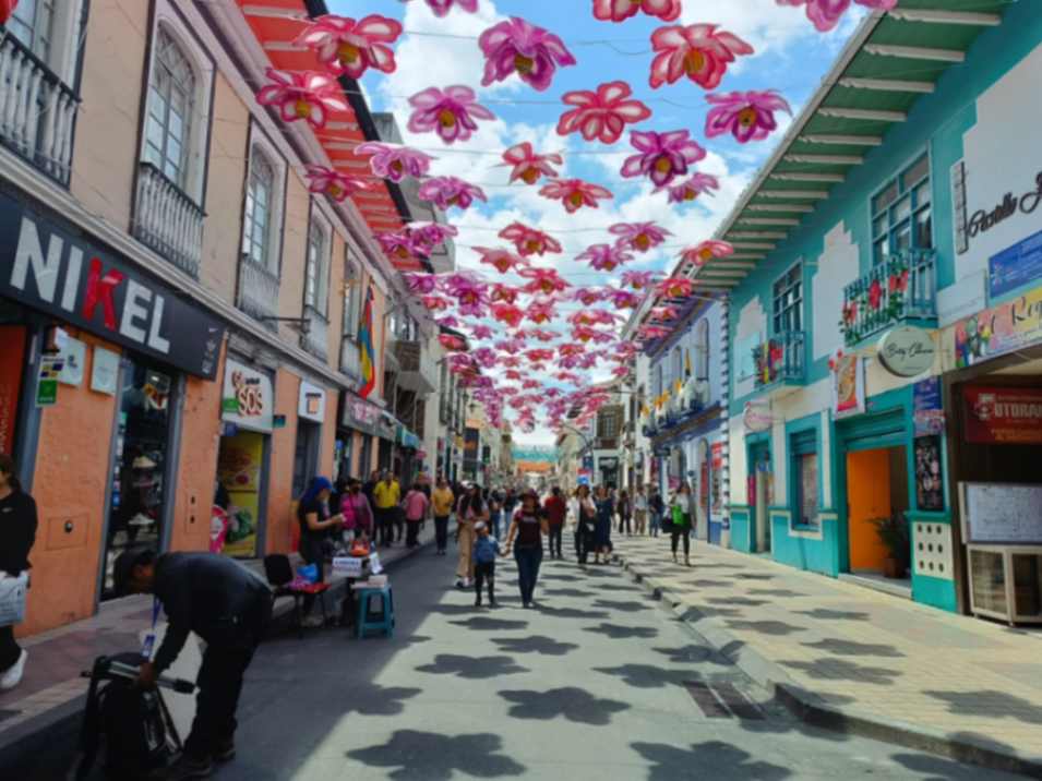 Desde las primeras horas de la mañana, el centro lojano se transforma en un espacio creativo.