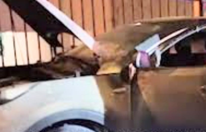 Uno de los 8 vehículos que fueron incinerados.