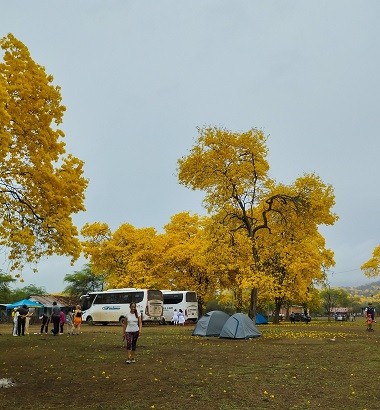 Una gran presencia de turistas se observó en el sector.