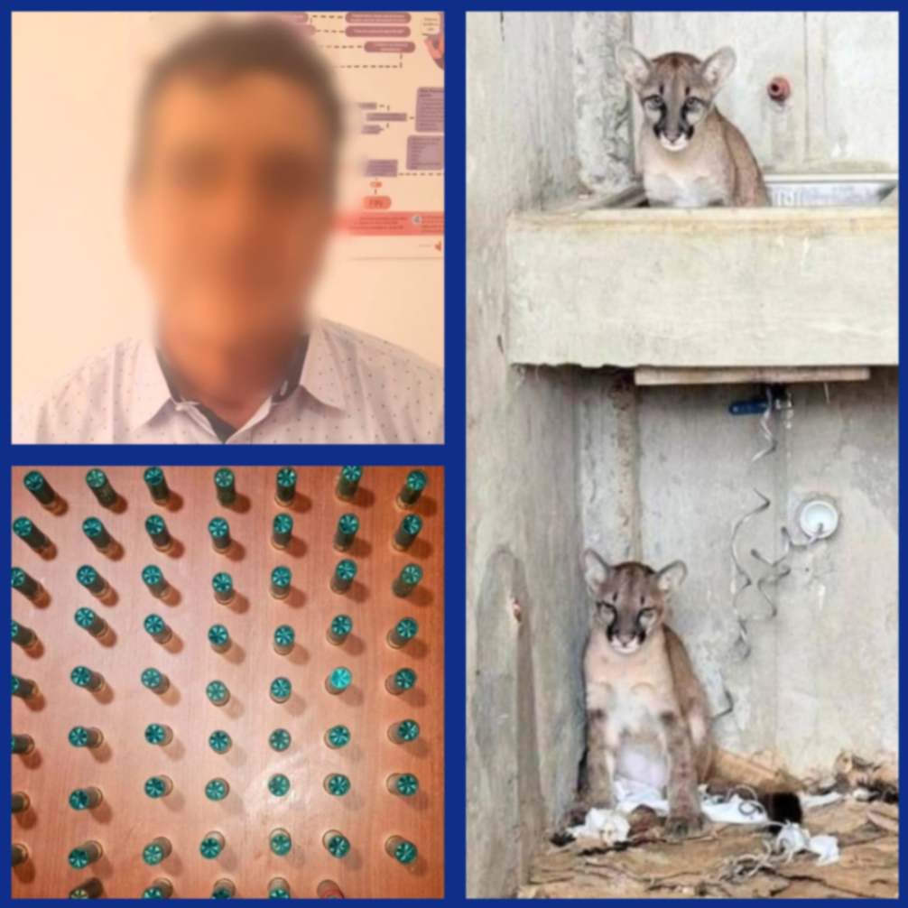 La detención del ciudadano fue la madrugada del último viernes en Zapotillo.