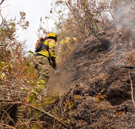 Los incendios han dejado varios daños en Loja.