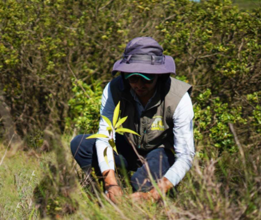 En la actividad se sembraron árboles nativos.