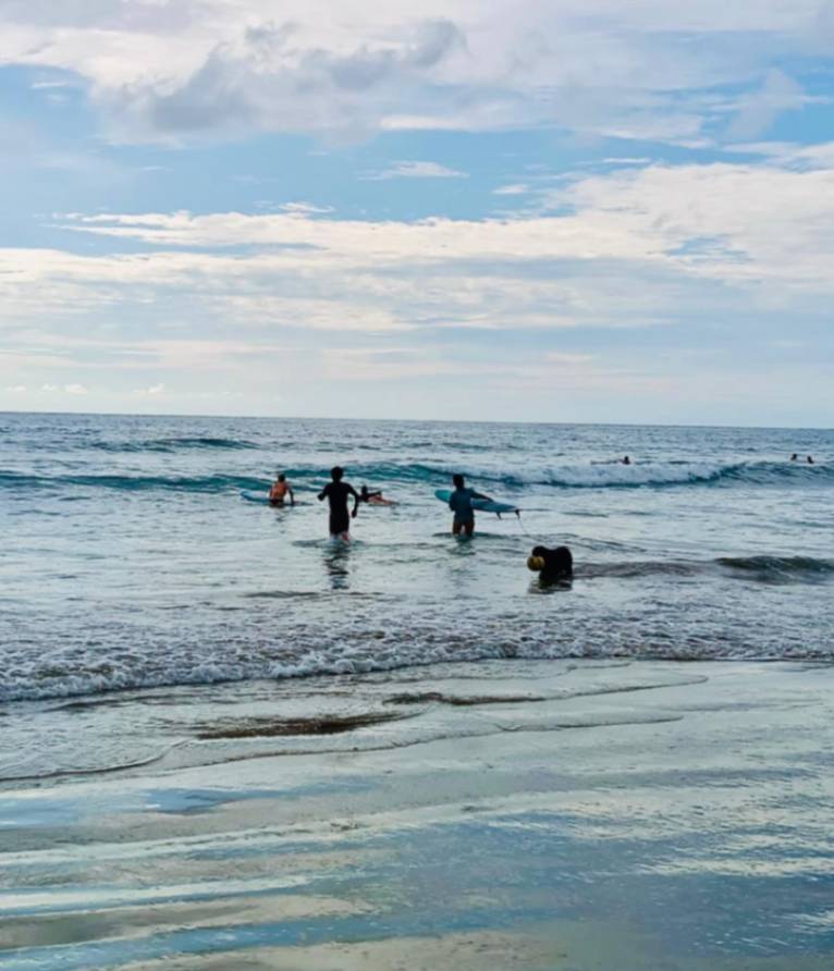 Entre las actividades preferidas de los turistas destaca el surf, ya que también ofrecen lecciones de surf, tanto en español como en inglés.