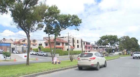 De acuerdo al Ayuntamiento hay varios árboles que deben ser cortados por mal estado.