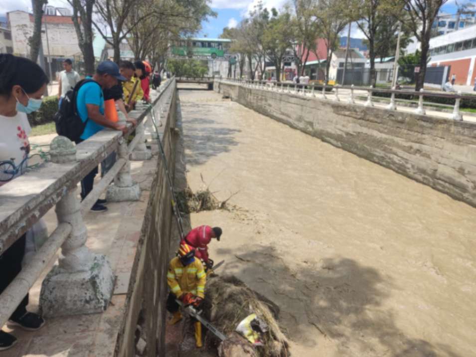 Personal del Cuerpo de Bomberos se introdujo al río para, usando una motosierra, trozar los árboles que el ‘Malacatos’ trajo de algún lugar.