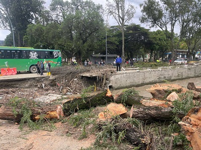 Los trabajos se cumplen para retirar el puente actual que colapsó.