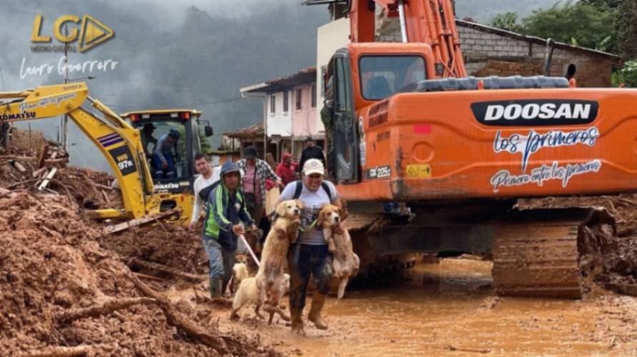 El deslave afectó también a las mascotas. Varias de ellas fueron rescatadas de entre el lodo.
