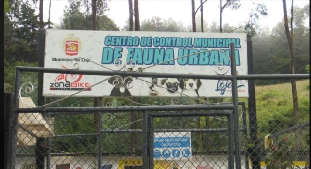 Se prevén algunos cambios en el Centro de Control Municipal de Fauna Urbana.