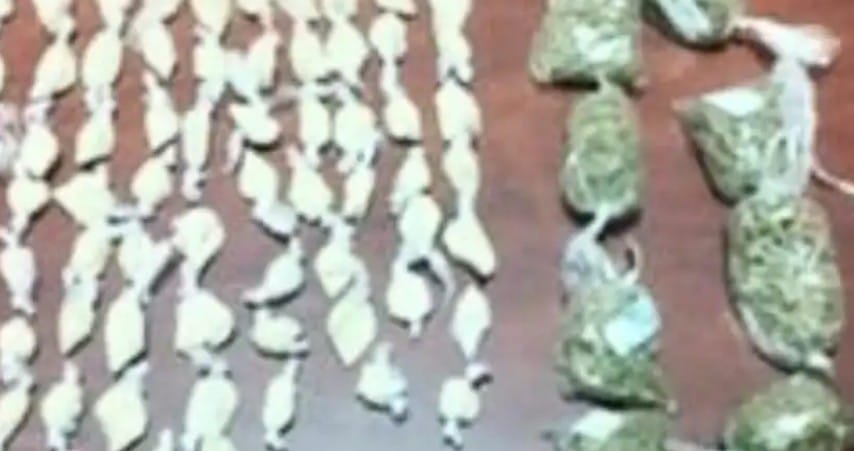 Las sustancias que se decomisaron durante el operativo de la madrugada del último lunes.