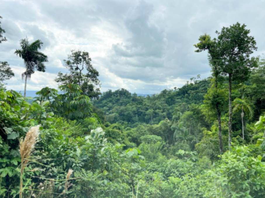 El proyecto continúa ejecutándose.