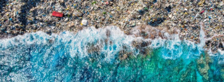 Se hace un llamado a la concientización mediante actividades y eventos alrededor del mundo.