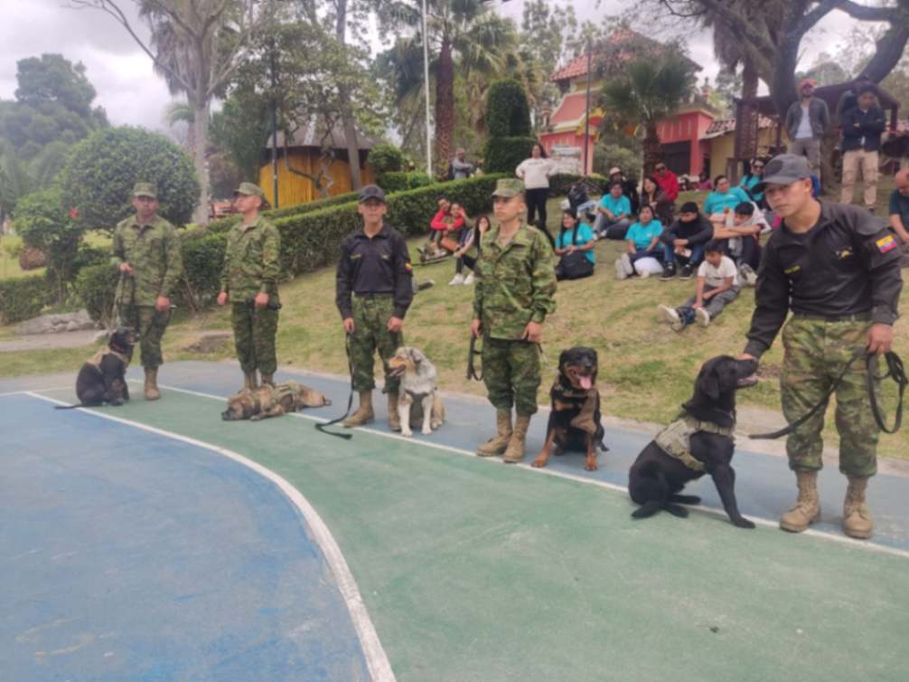 En una de las presentaciones, realizadas hace pocos días en el Parque Lineal La Tebaida, las mascotas mostraron el adiestramiento recibido.