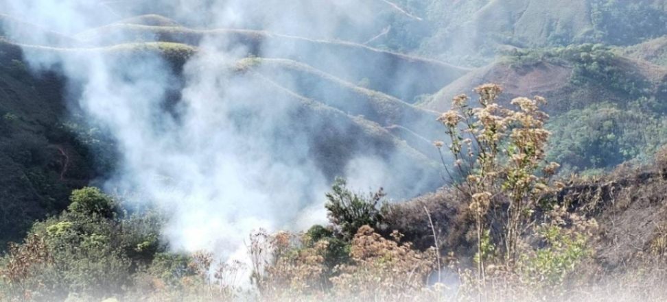 En la parroquia lojana El Cisne, el fuego consumió alrededor de ocho hectáreas.