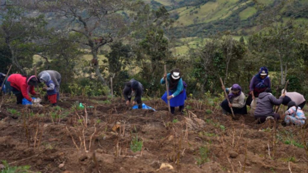Productores se benefician de los proyectos de vinculación que ejecuta la UNL.