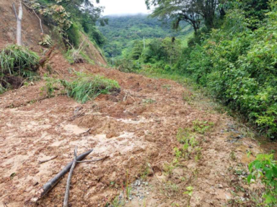 La vialidad es la mayormente castigada por las intensas precipitaciones pluviales.