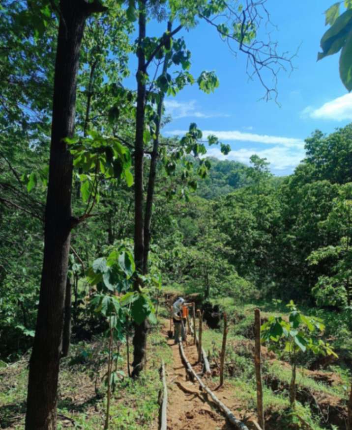 El ataque al espacio se estima ocurrió el último fin de semana.