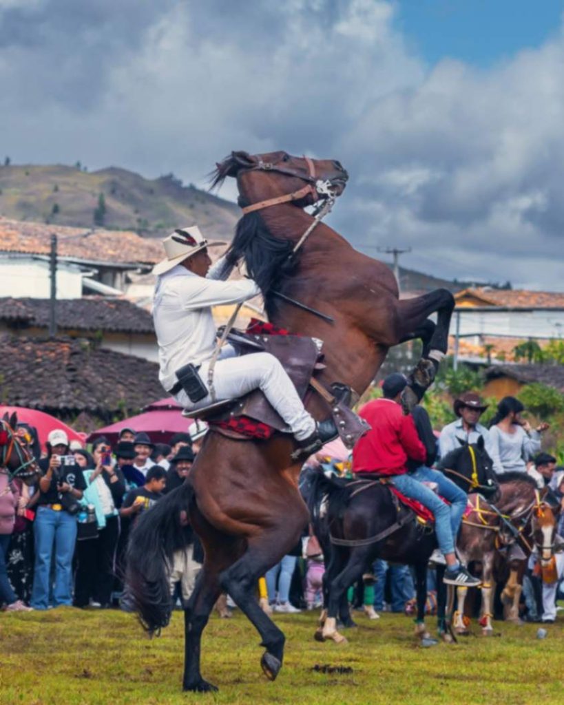 Los jinetes demostraron sus habilidades a la hora del tan esperado espectáculo de los caballos. 