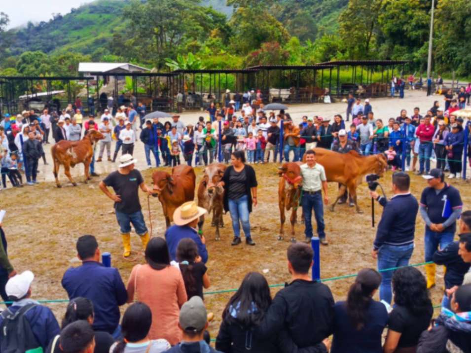 En años anteriores, la feria ganadera ha sido un rotundo éxito.