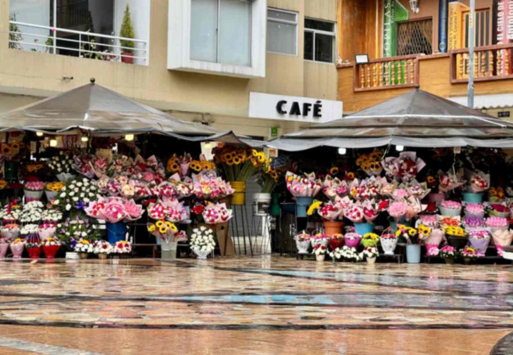 El Parque de las Flores, en Loja, es uno de los espacios a los que la ciudadanía acude para adquirir obsequios florales.