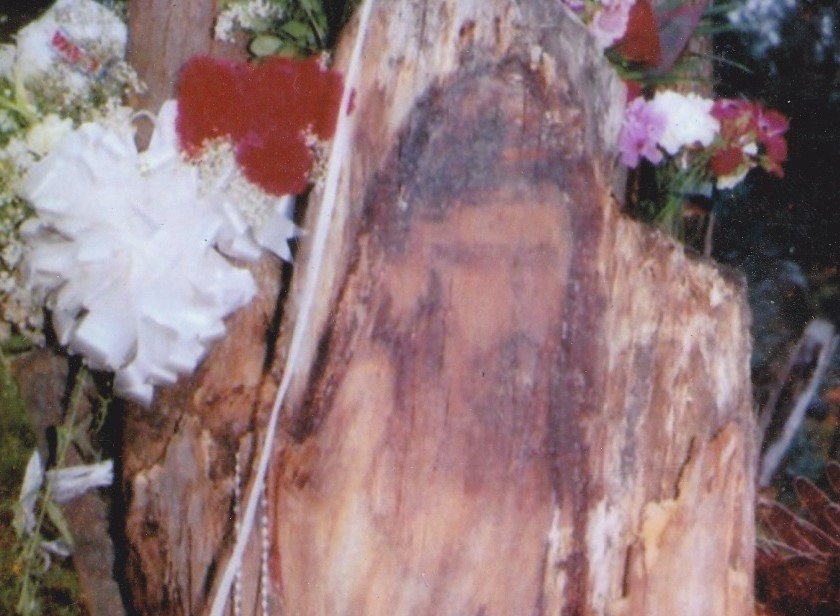 Alguna vez la Diócesis intentó talar el árbol, pero no pudo por la oposición de feligreses.