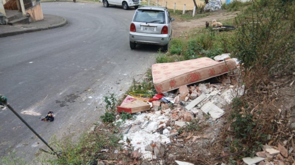 Los espacios verdes se encuentran abandonados, llenos de maleza y basura.