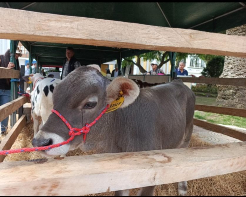 La feria promueve la identidad productiva y ganadera de la provincia.