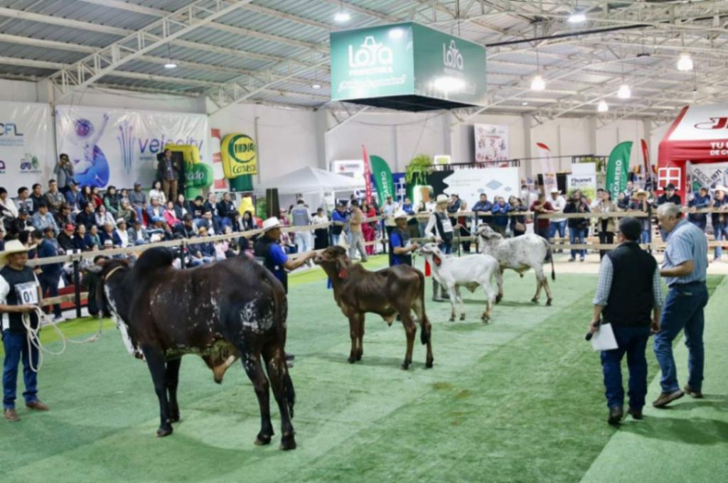 La Expoferia promovió el potencial productivo de la provincia.