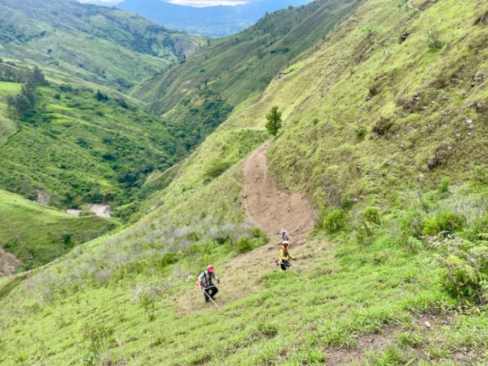 Según investigaciones, la biodiversidad de Ecuador enfrenta un desafío crítico por los incendios forestales en Loja.