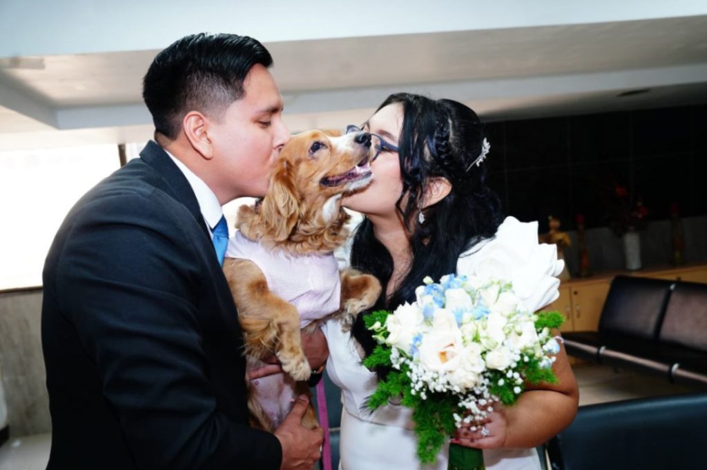 Desde el 13 de mayo de 2026, las parejas pueden incluir a sus mascotas en las ceremonias.