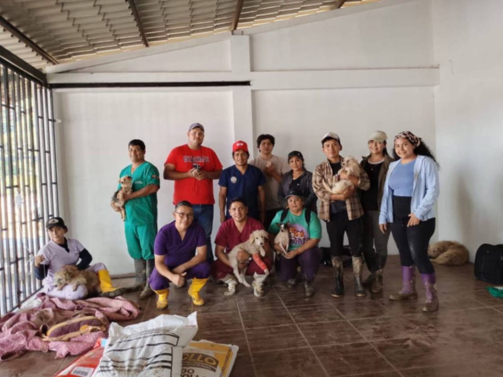 Los profesionales trabajaron bajo el lema ‘Unidos por Guadalupe, unidos por el bienestar animal’.