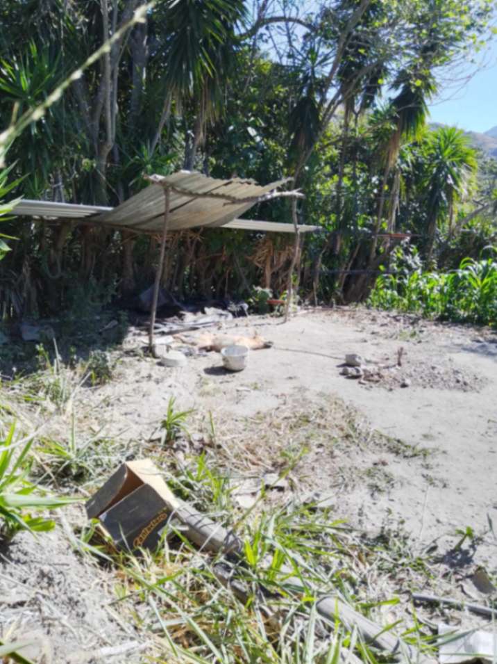 Las malas condiciones del animalito, del barrio Amala, en San Pedro de Vilcabamba, son evidentes.