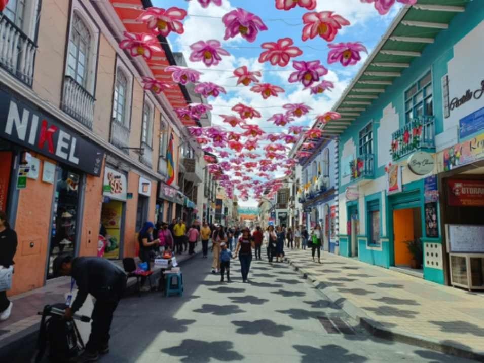 La nueva edición del Festival, este año, se cumplirá del 12 al 22 de noviembre.