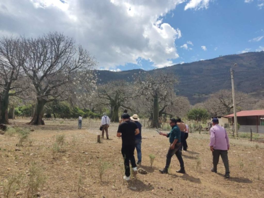 La visita técnica del último miércoles, 2 de septiembre de 2026, comprendió un recorrido al bosque.