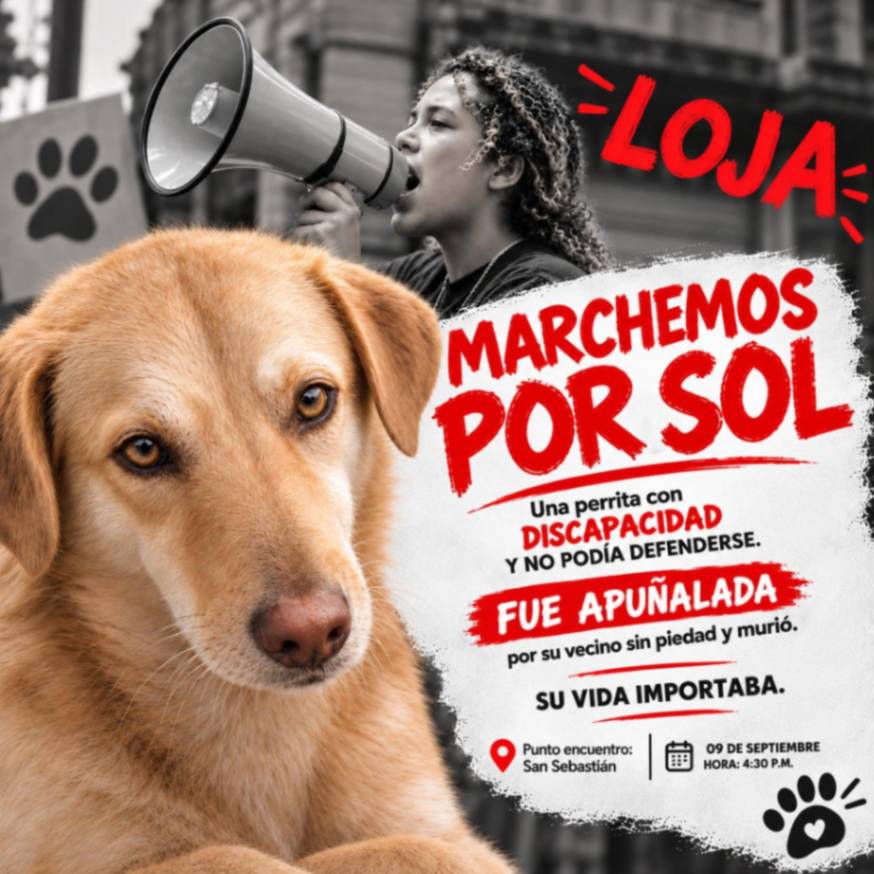 El promocional que circula en redes sociales invitando a la protesta.