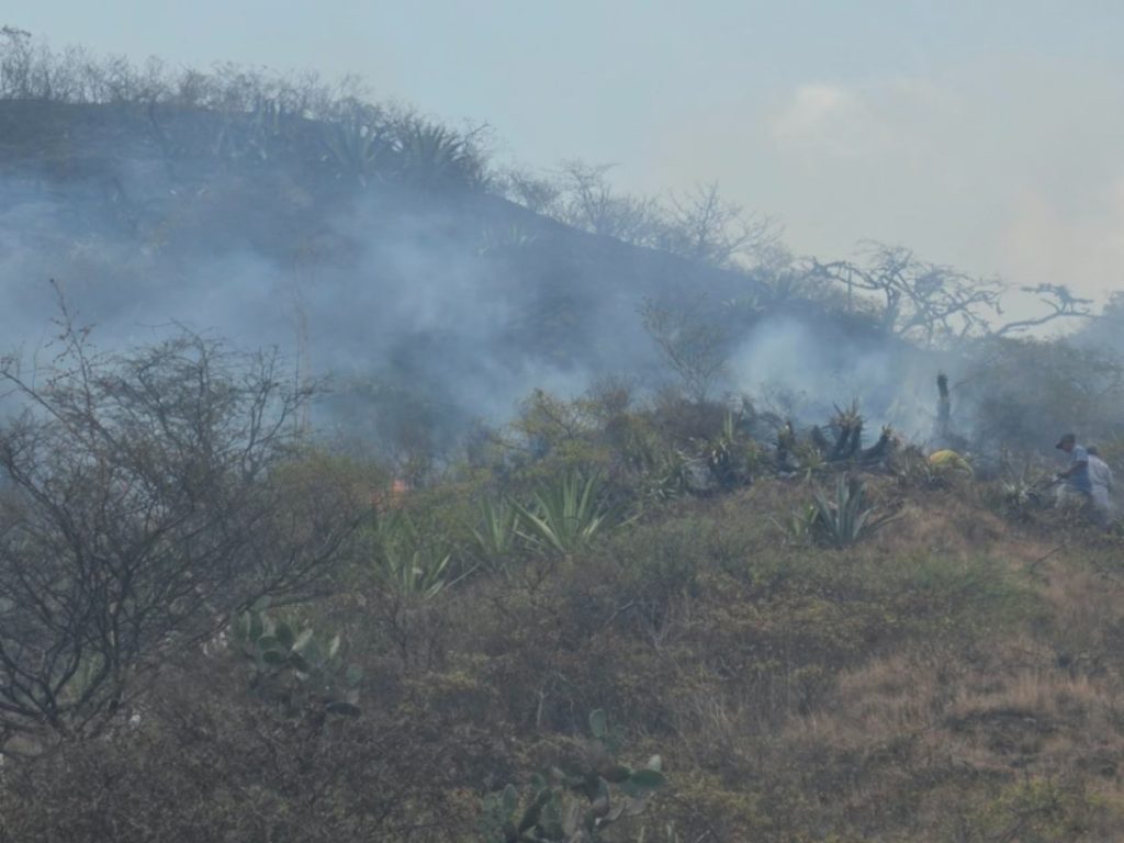 En Catamayo, según informó el Cuerpo de Bomberos, el flagelo fue contralado en horas de la tarde.